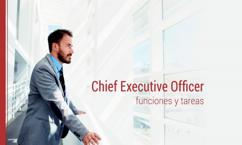 Lee más sobre el artículo Funciones y tareas CEO