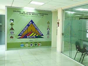 Caub Inicio - COLEGIO DE AUDITORES O CONTADORES PUBLICOS DE BOLIVIA